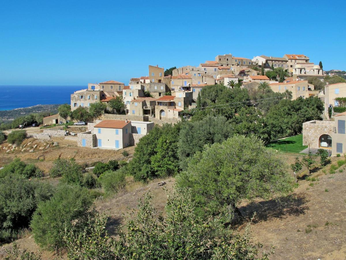 Apartment Thalassa - Cal200 By Interhome Corsica Island Dış mekan fotoğraf