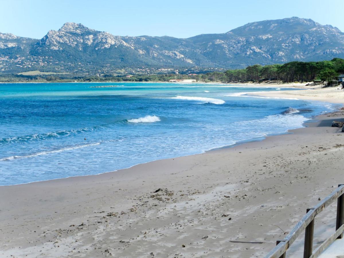 Apartment Thalassa - Cal200 By Interhome Corsica Island Dış mekan fotoğraf
